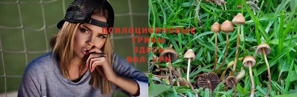 MESCALINE Гусев
