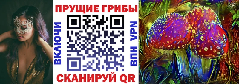 где купить наркотик  Дятьково  Галлюциногенные грибы мухоморы 